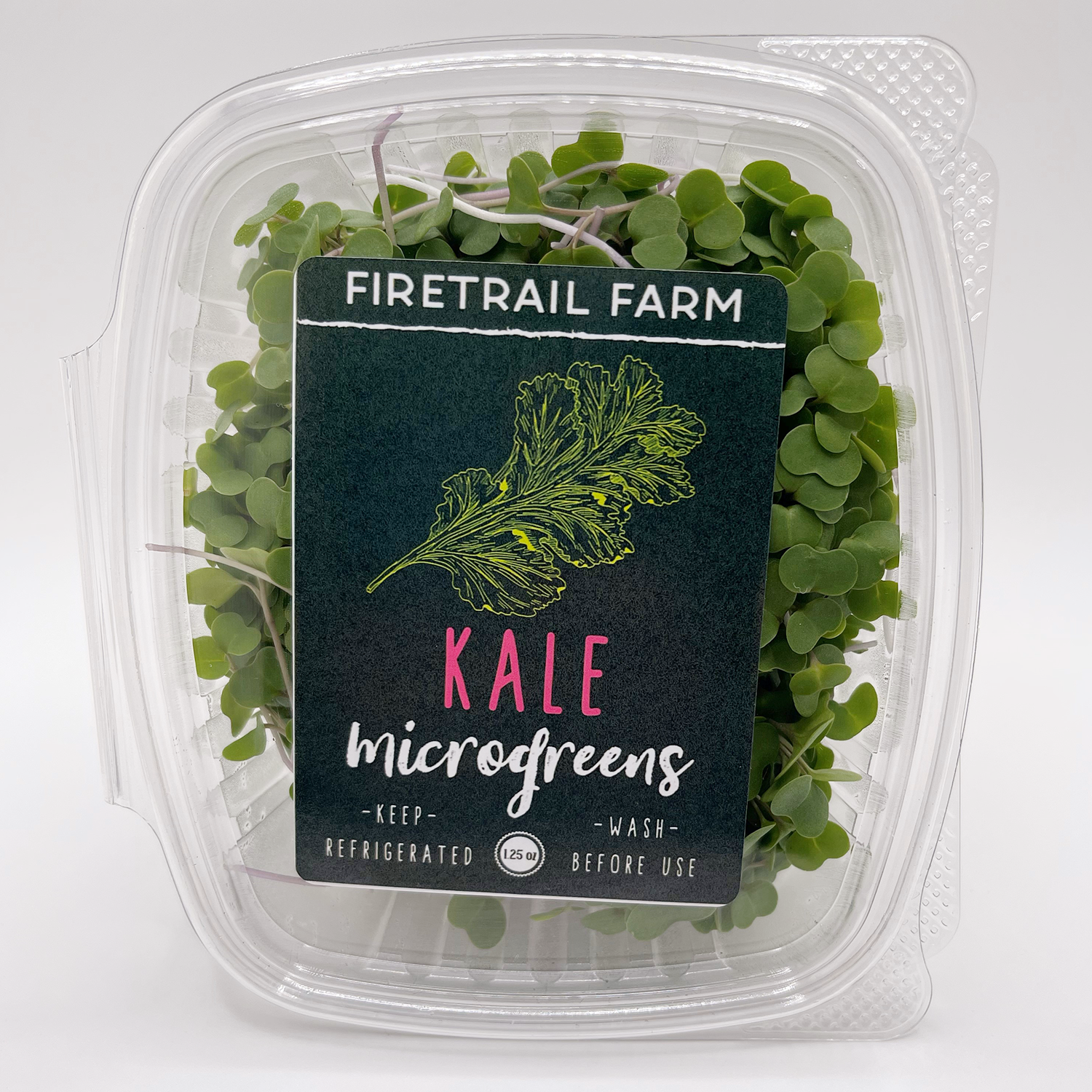 Kale Container