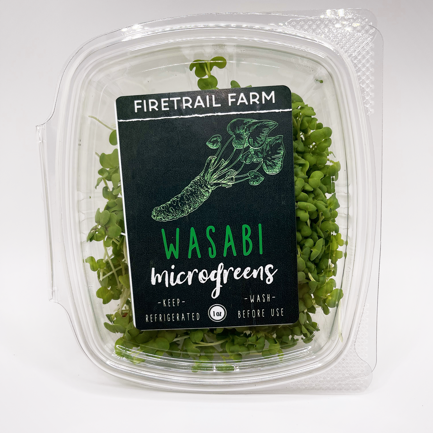 Wasabina Container
