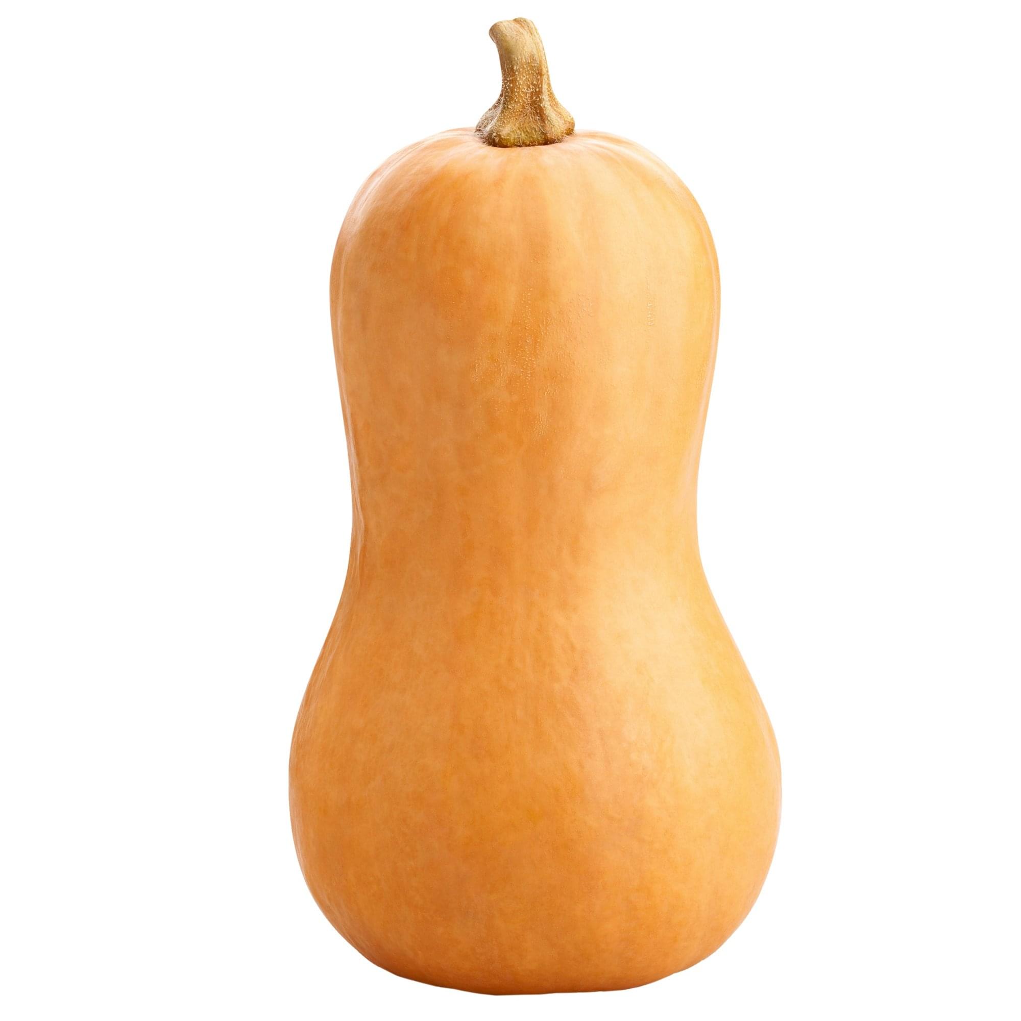 butternut-squash