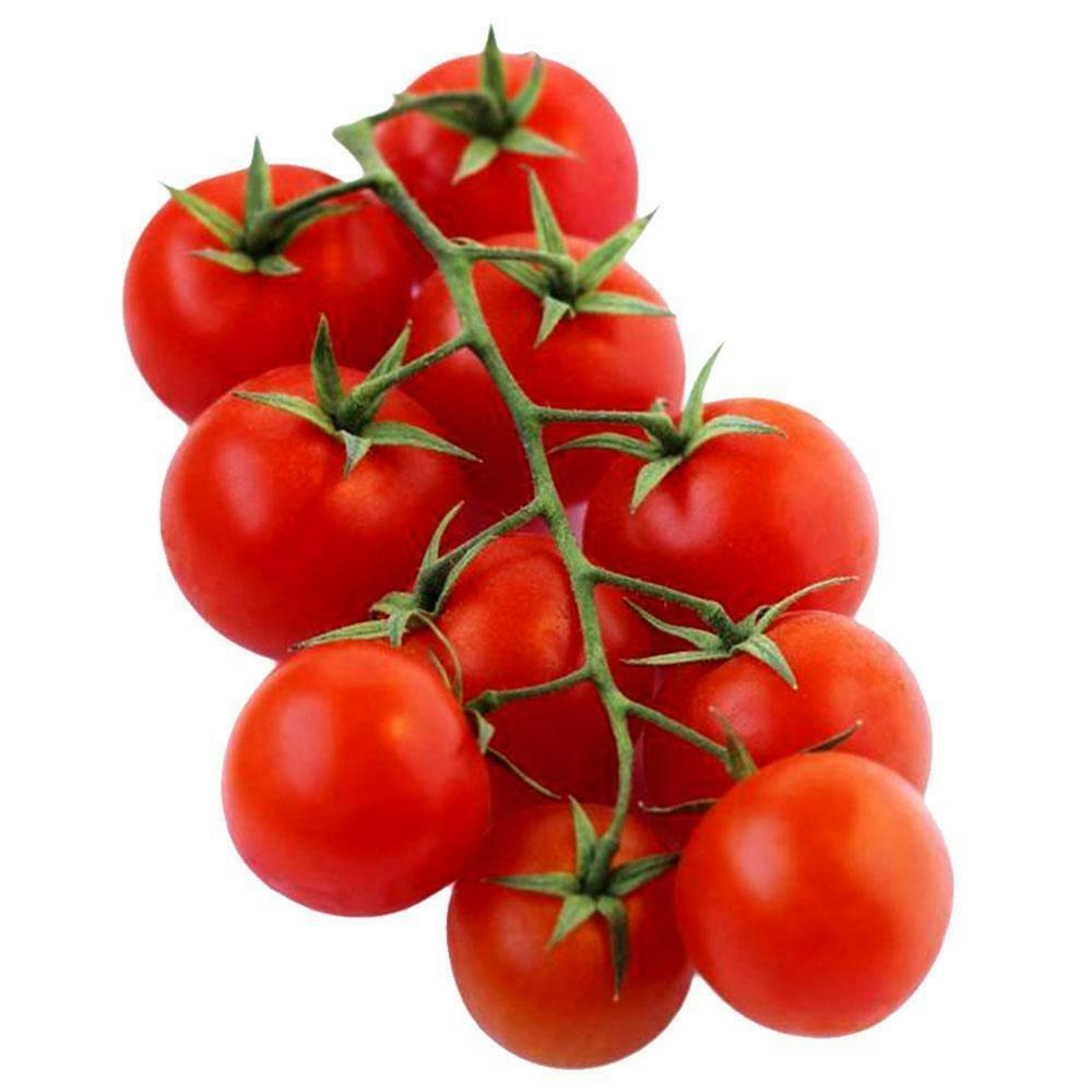 on the vine cherry tomatoes